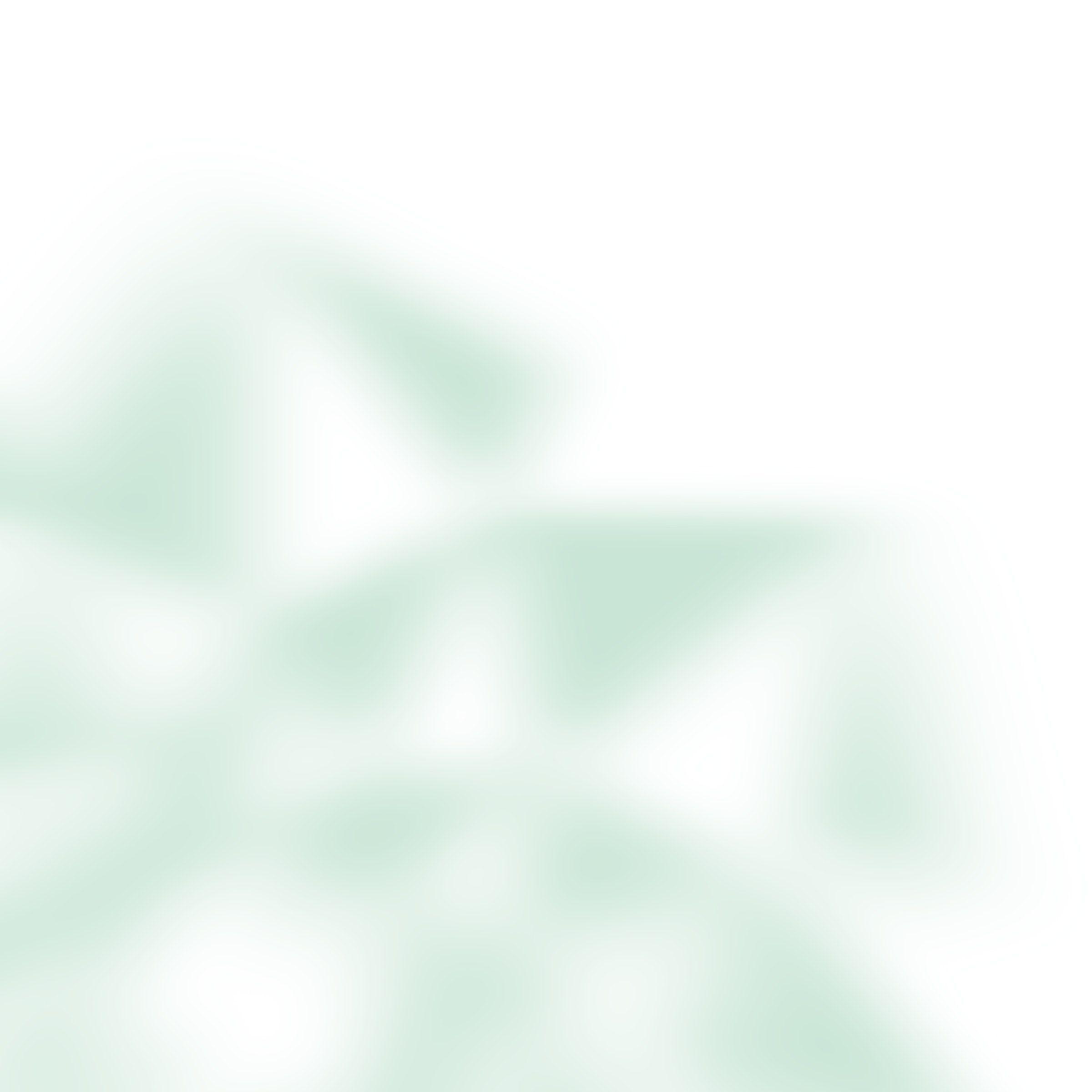 His Highness the Aga Khan